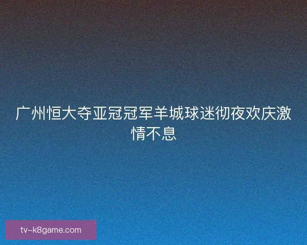 广州恒大夺亚冠冠军羊城球迷彻夜欢庆激情不息